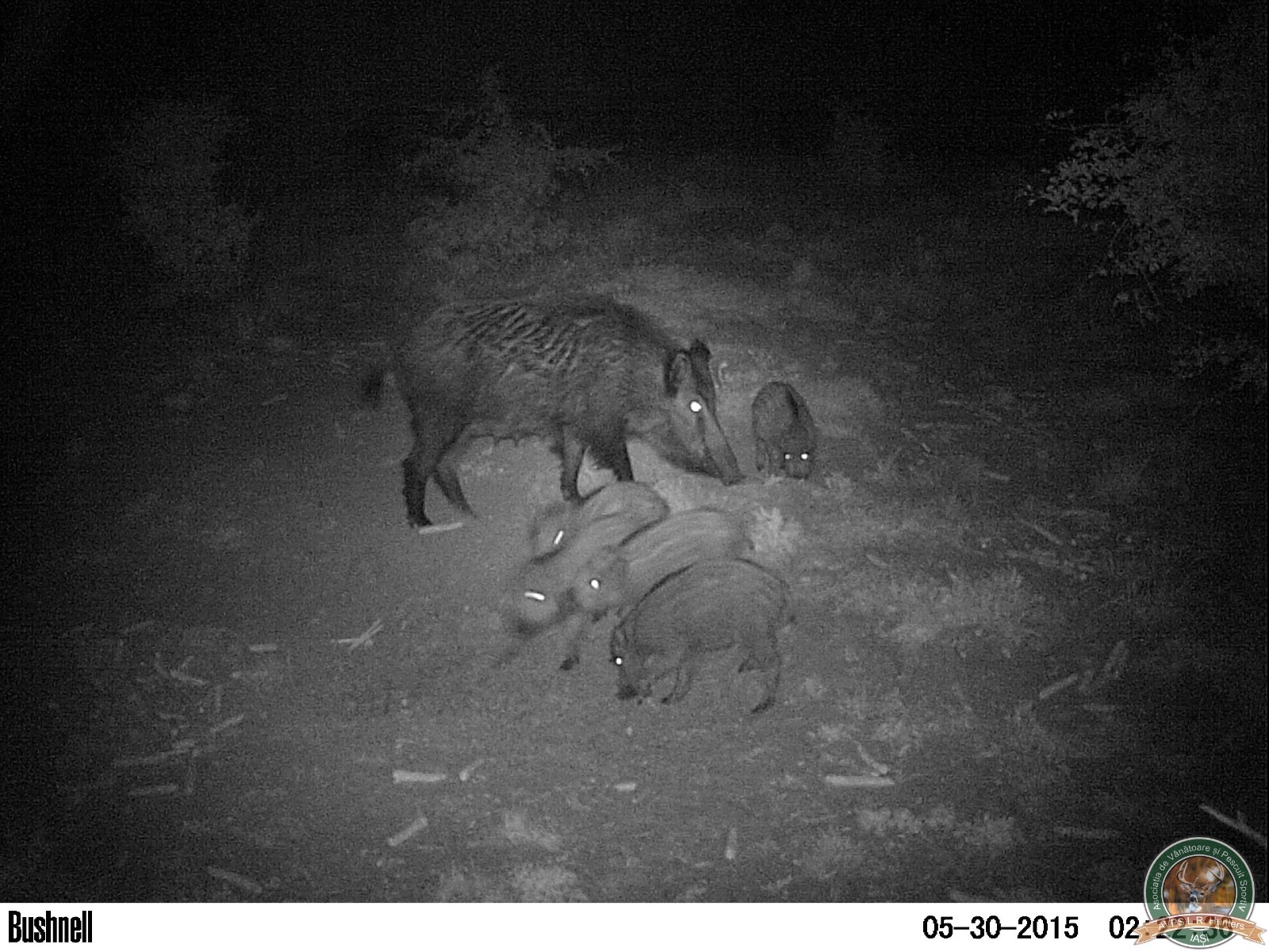 avps-lr-hunters-animale-11