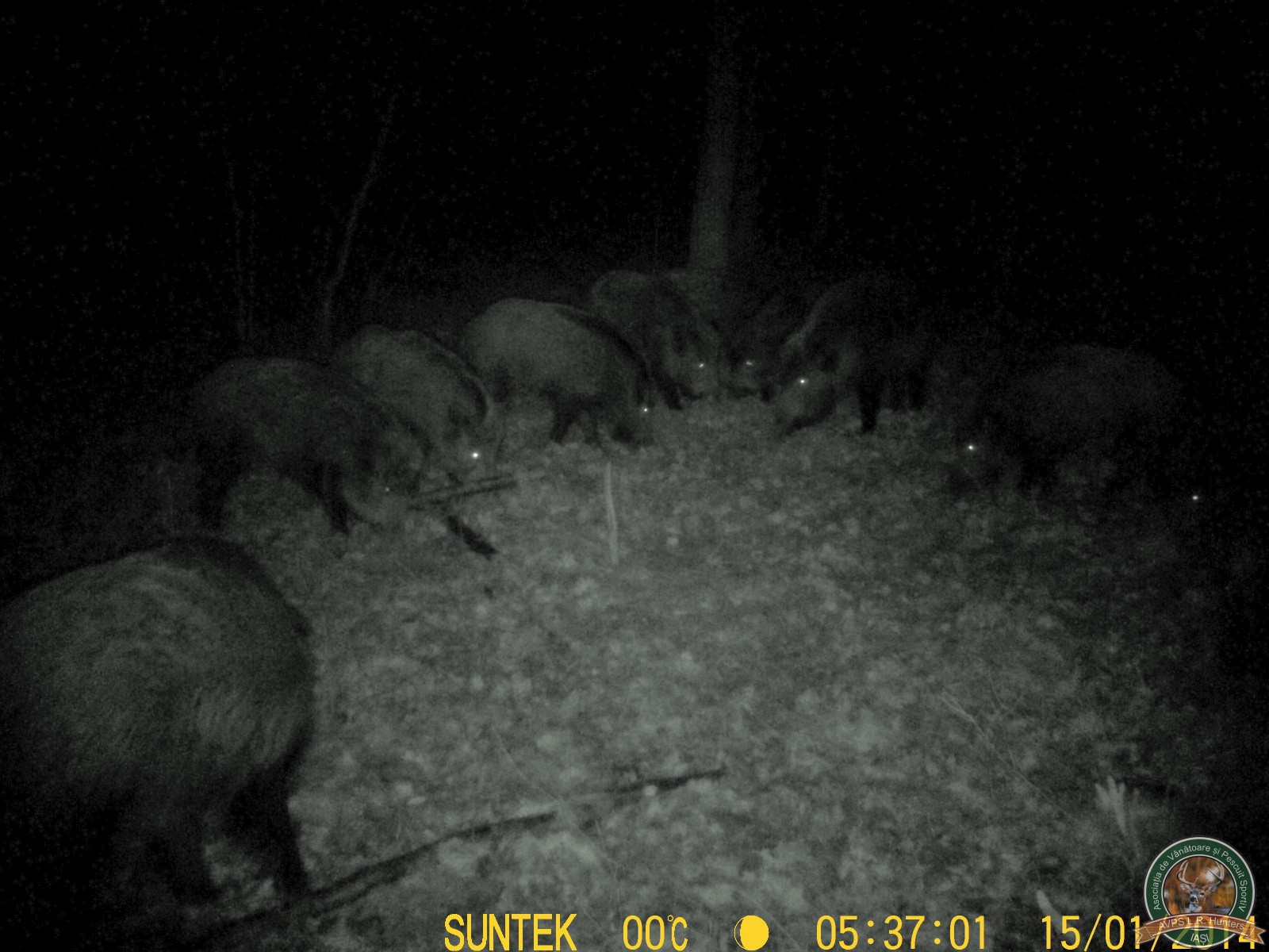 avps-lr-hunters-animale-24
