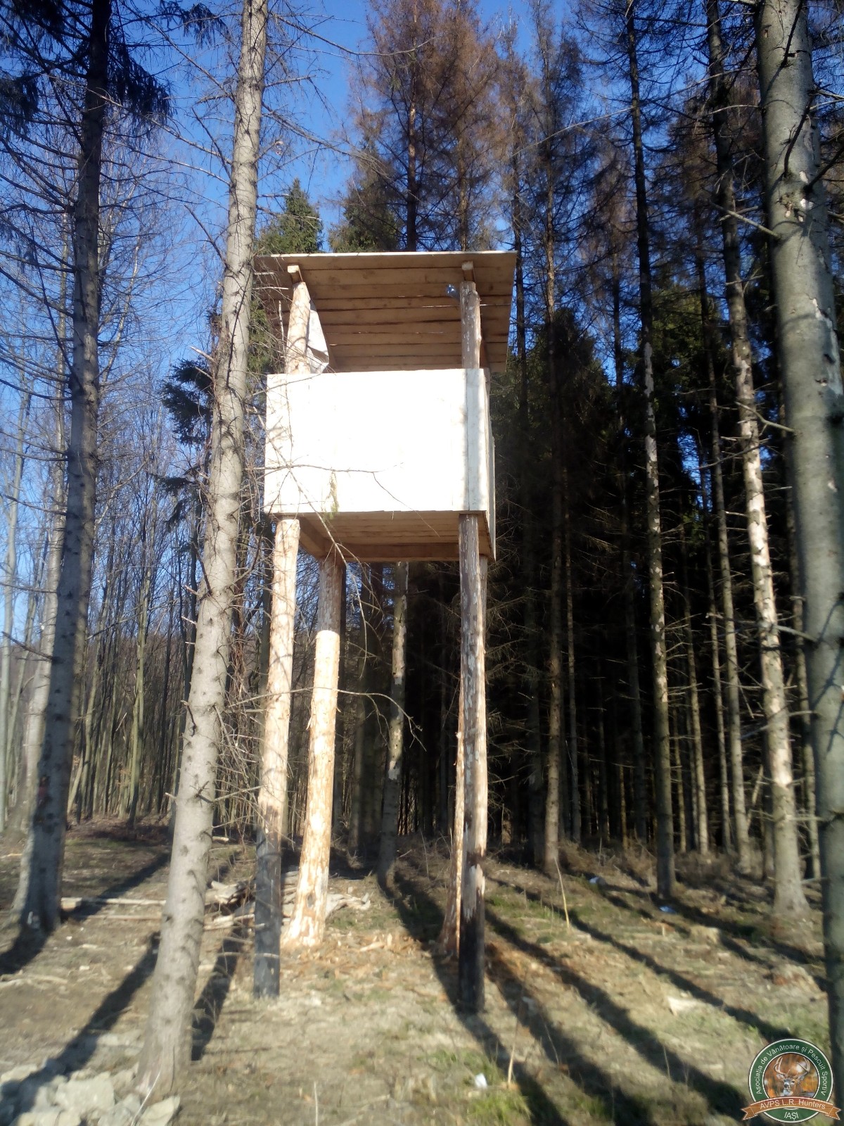 avps-lr-hunters-constructii_vanatoaresti-22